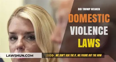 Examining the Impact of Trump's Policies on Domestic Violence Laws