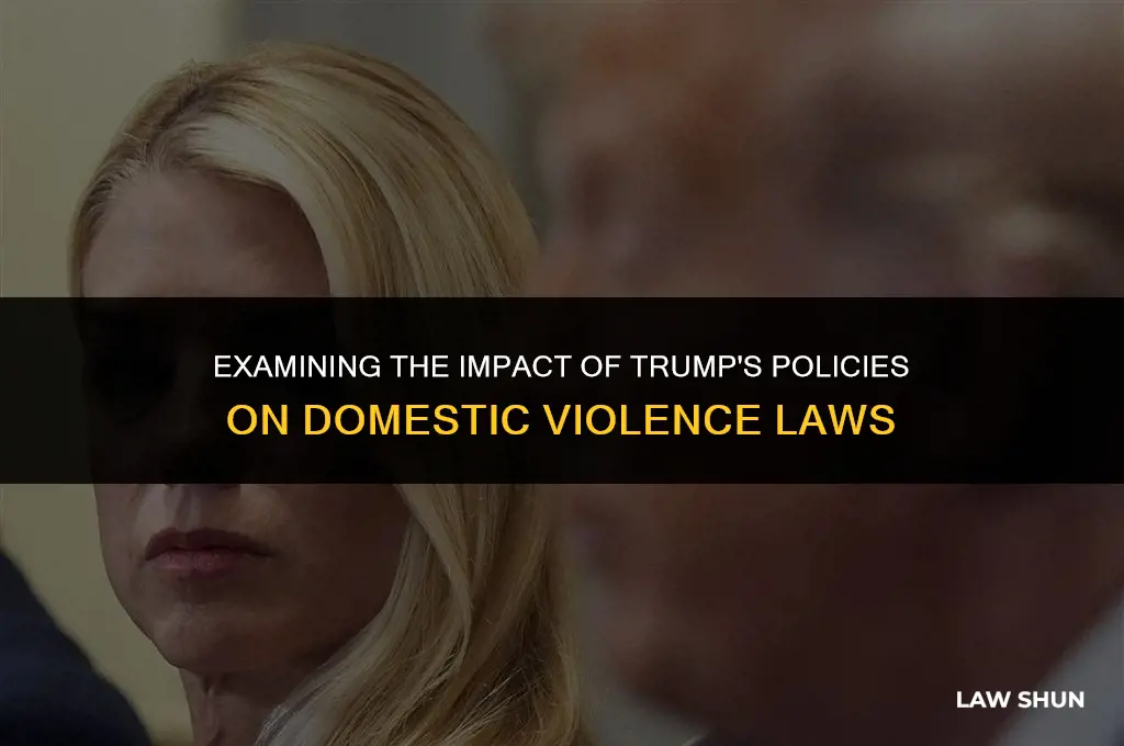 did trump weaken domestic violence laws