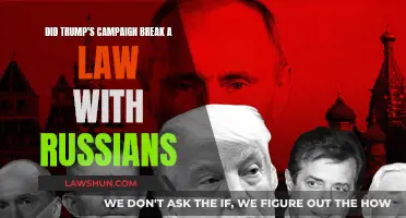 Trump-Russia Collusion: Law-breaking Campaign Conspiracy?