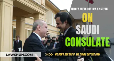 Turkey's Spy Law Breach: Saudi Consulate Scandal