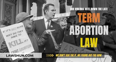 Virginia Votes Against Late-Term Abortion: What's Next?