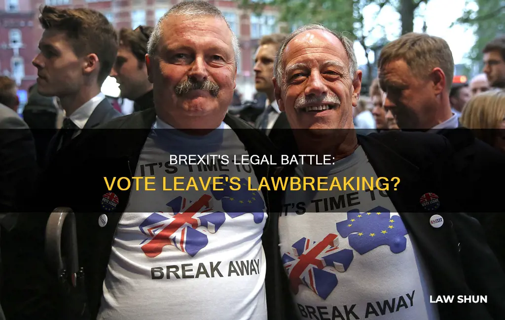 did vote leave break the law