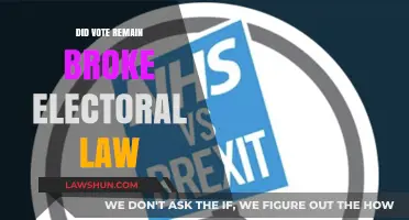 Did Vote Leave Break Electoral Law? Uncovering the Brexit Campaign Scandal