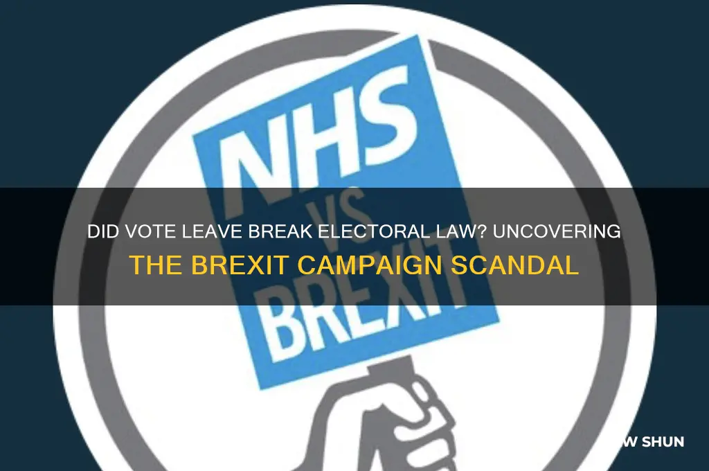 did vote remain broke electoral law