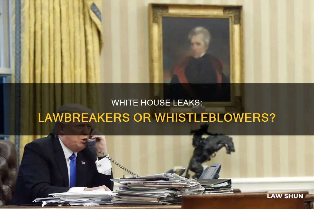 did white house leakers break law