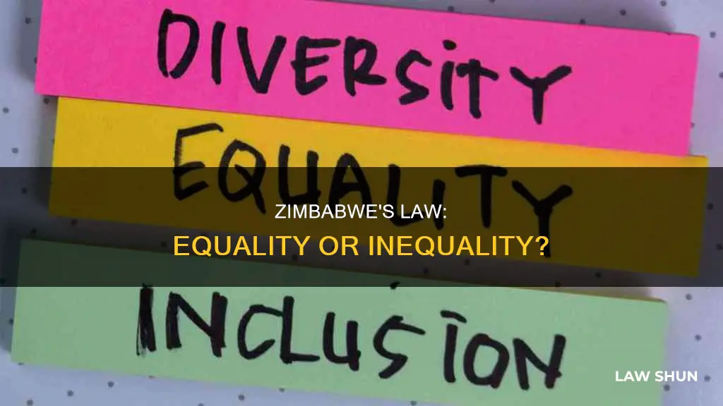 did zimbabwe break the law equality before the law