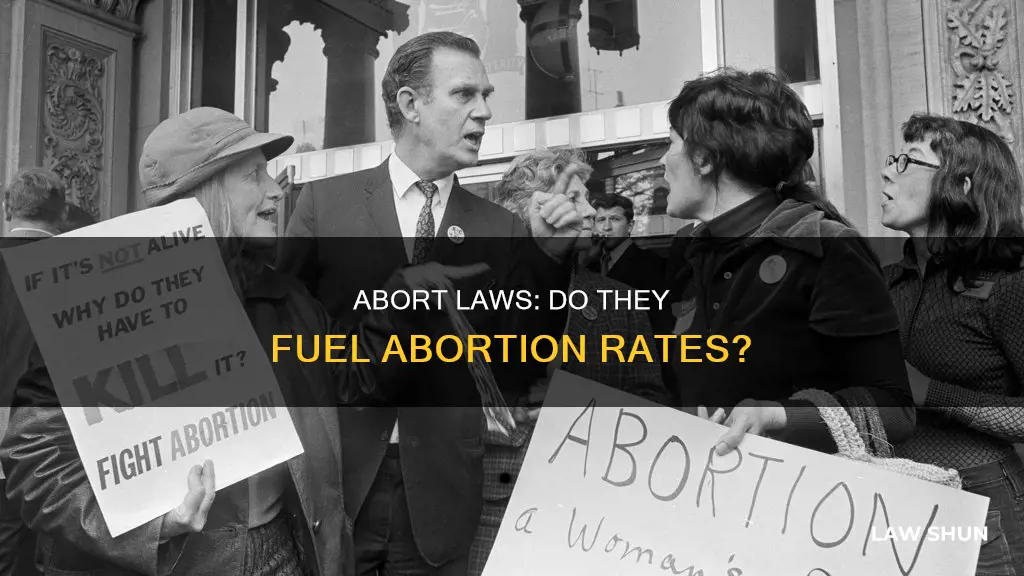 do abort laws increase abortion