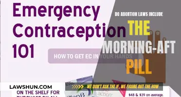 Morning-After Pill: Exempt from Abortion Law?