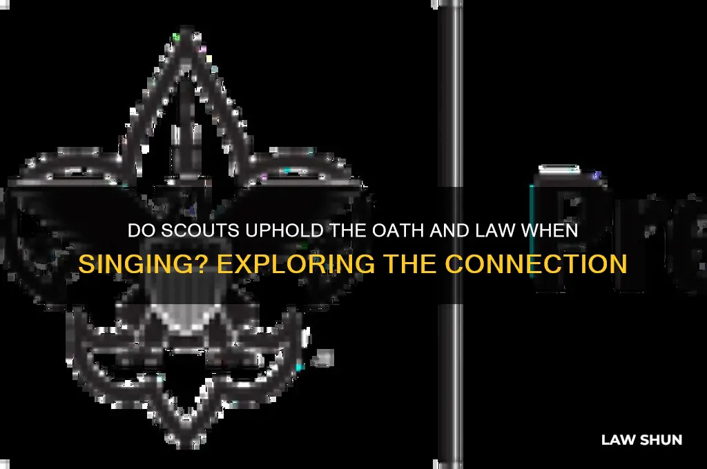do acouts hold up scout sing with oath amd law