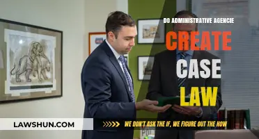 How Administrative Agencies Create Case Law