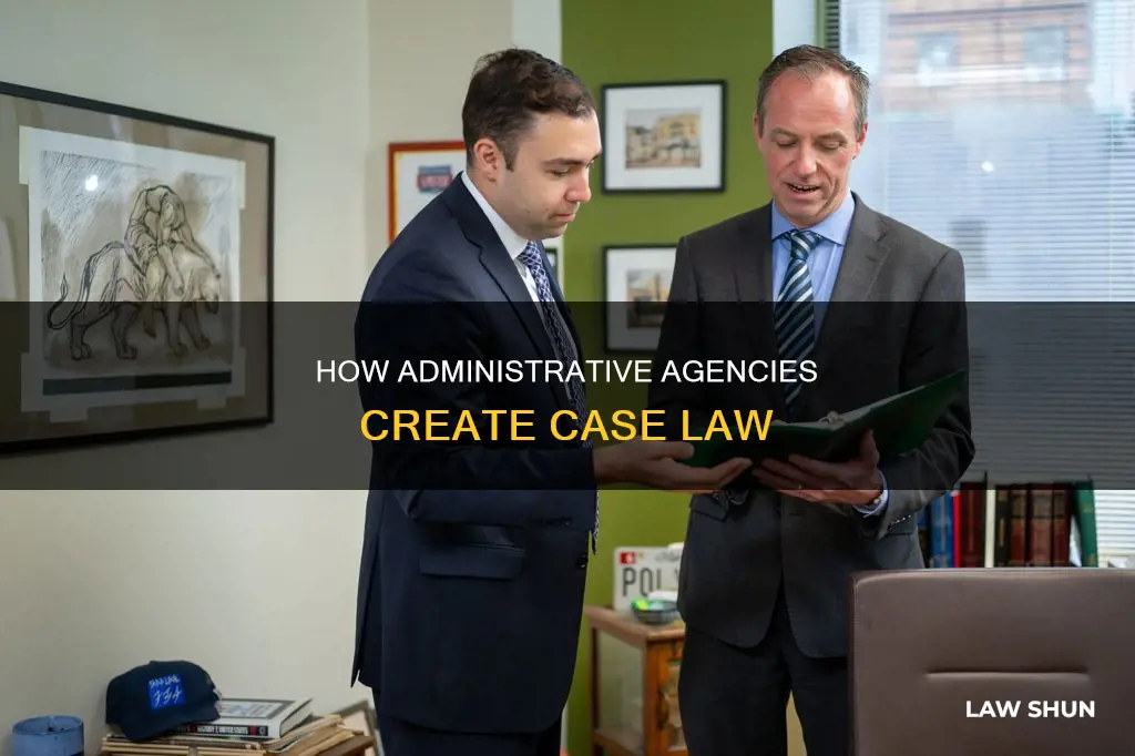 do administrative agencie create case law