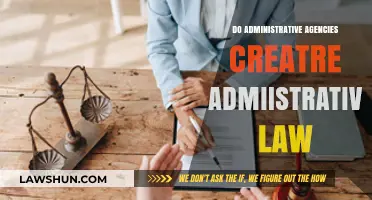 Exploring the Role of Administrative Agencies in Shaping Law