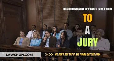 Jury Trials: Administrative Law Cases