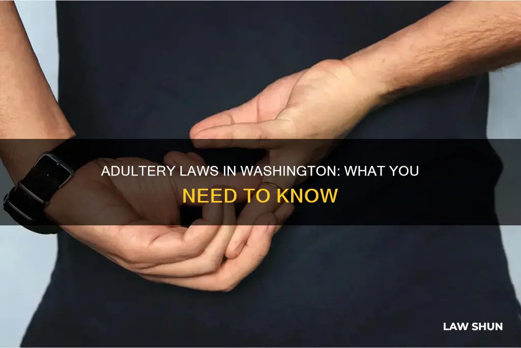 do adultery laws apply in washington