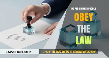 Do All Chinese Citizens Obey the Law? Exploring Legal Compliance