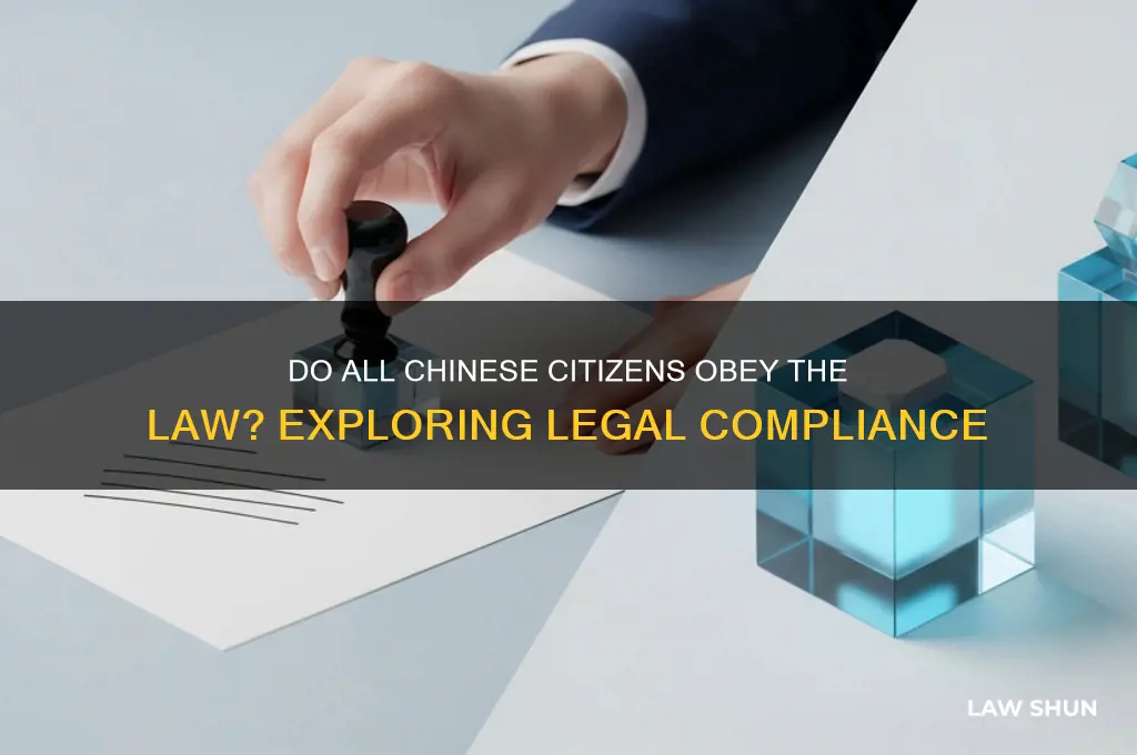 do all chinese people obey the law