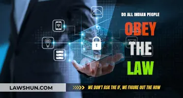 Do All Indians Obey the Law? Exploring Compliance and Challenges