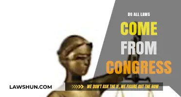 Do All Laws Come From Congress? Exploring Legal Origins and Authority