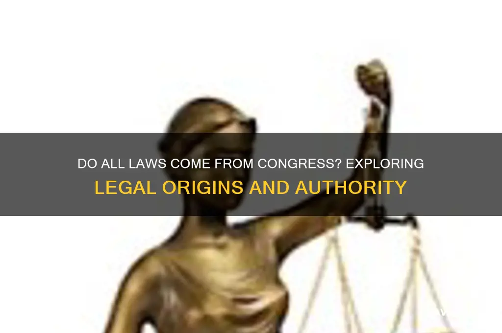 do all laws come from congress