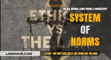Consistent Norms: Do All Moral Laws Align in a Unified System?