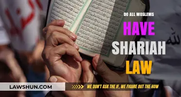 Understanding Sharia Law: Its Role in Muslim Societies Worldwide