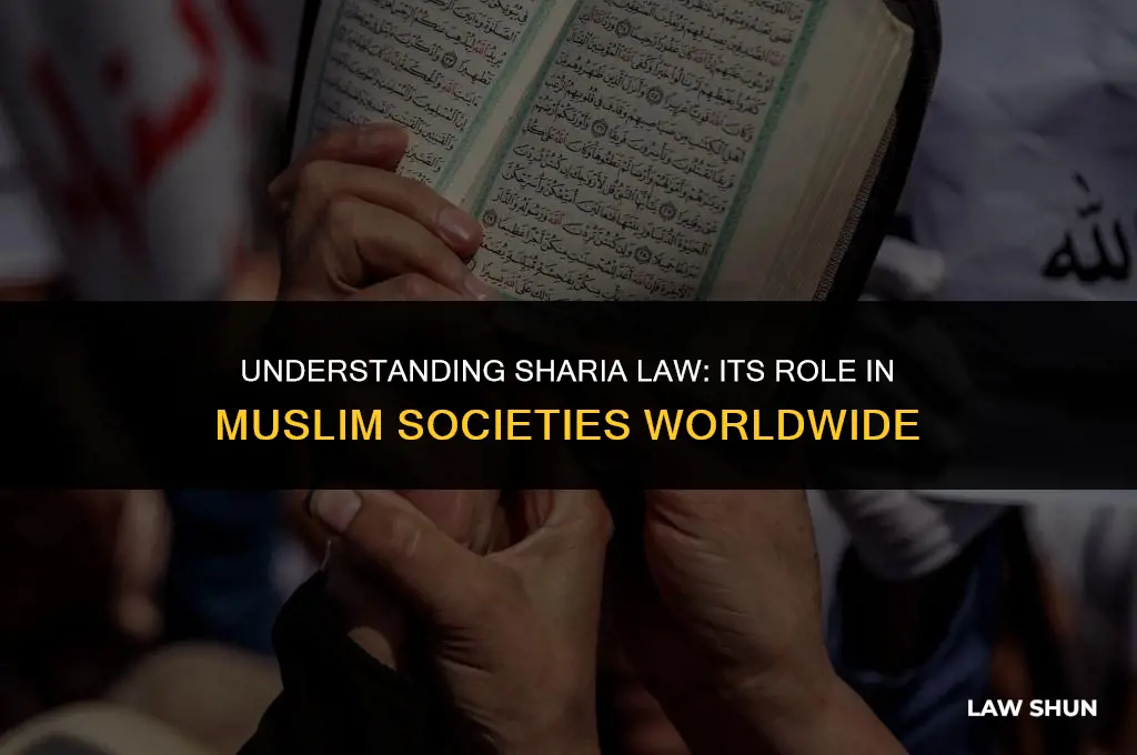 do all moslems have shariah law
