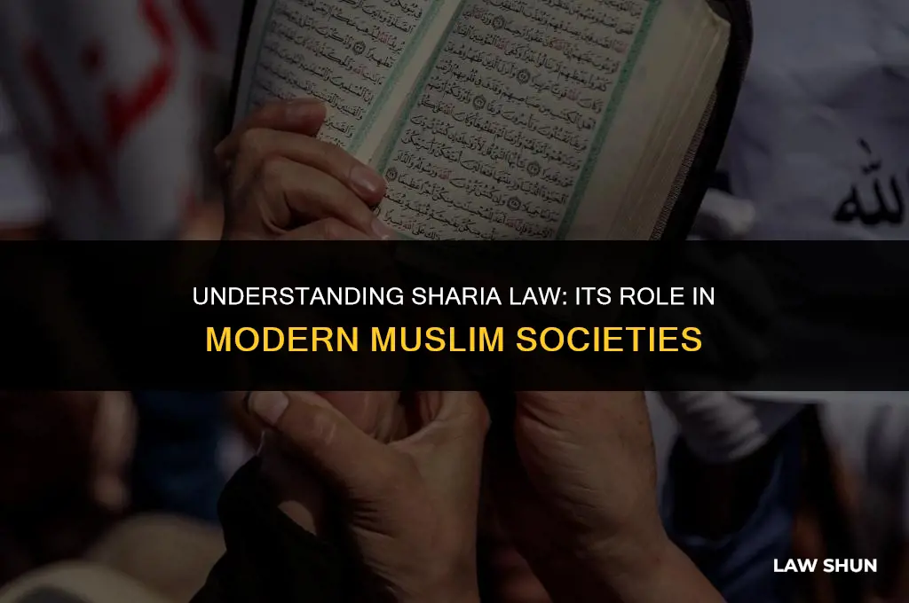 do all muslims enclude shira law
