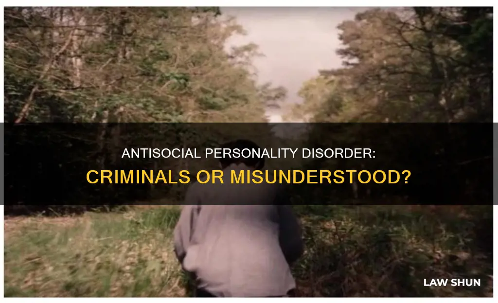 do all people with antisocial personality disorder break the law