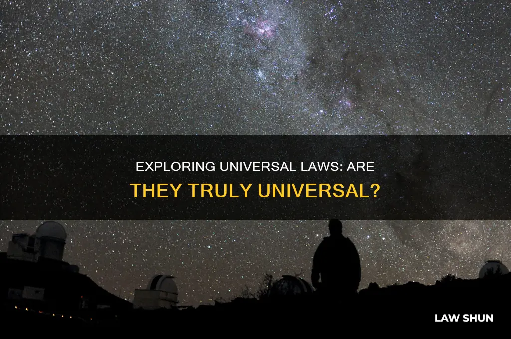 do all universes have the same laws of physics