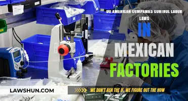 American Influence on Mexican Labor Laws: Factories Under Control?