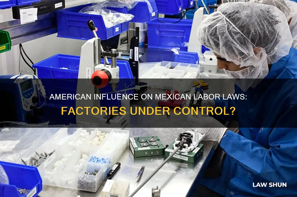do american companies control labor laws in mexican factories
