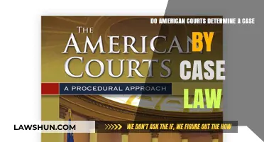 Case Law: How American Courts Decide