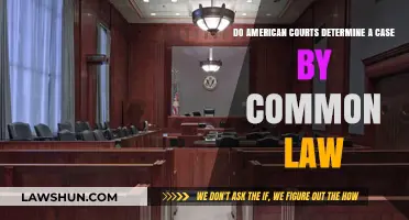 American Courts: Common Law or Not?