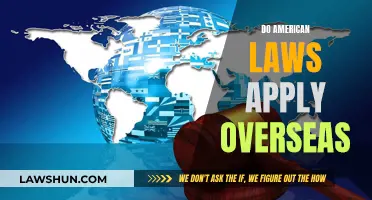 American Laws: Global Reach or Overseas Limitations?