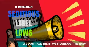 Do Americans Have Seditious Libel Laws? A Legal Analysis