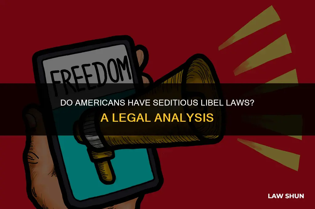 do americans have seditious libel laws