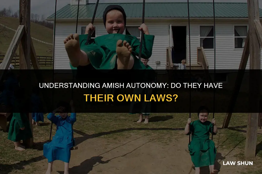 do amish have their own laws