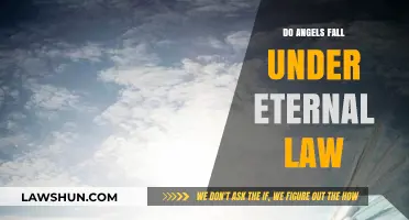 Do Angels Fall Under Eternal Law: A Theological Exploration