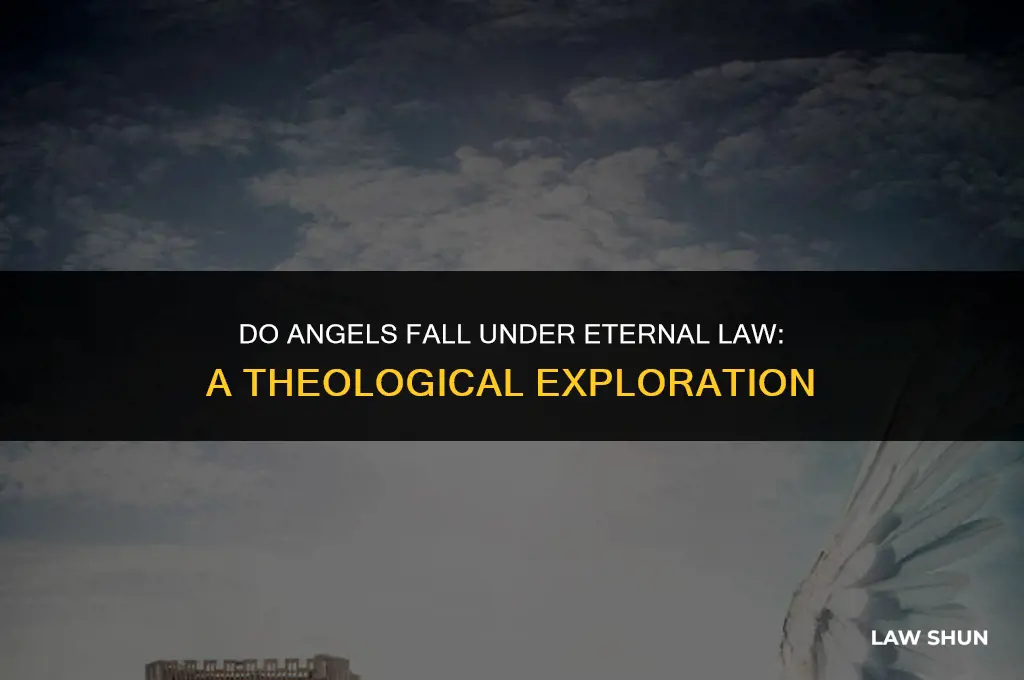 do angels fall under eternal law