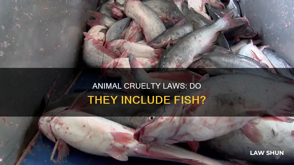 do animal cruelty laws apply to fish