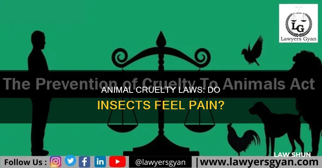 do animal cruelty laws apply to insects