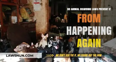 Animal Hoarding Laws: Effective Prevention or Temporary Solution?