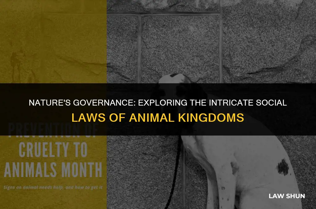 do animals have their own laws