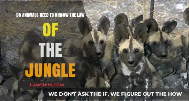 Do Animals Instinctively Follow Jungle Laws or Survive by Nature?