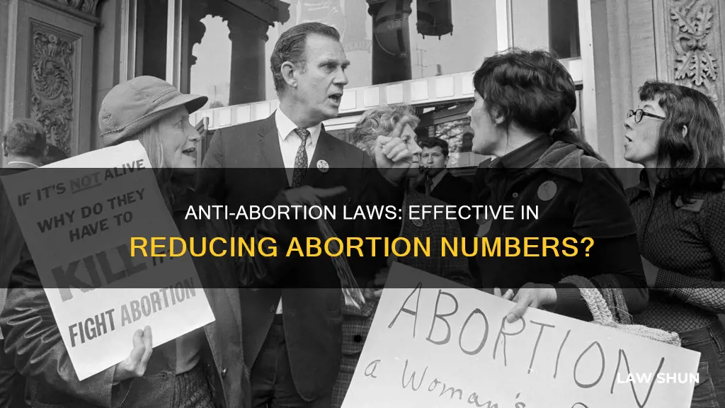 do anti-abotion laws reduce the number of abortions