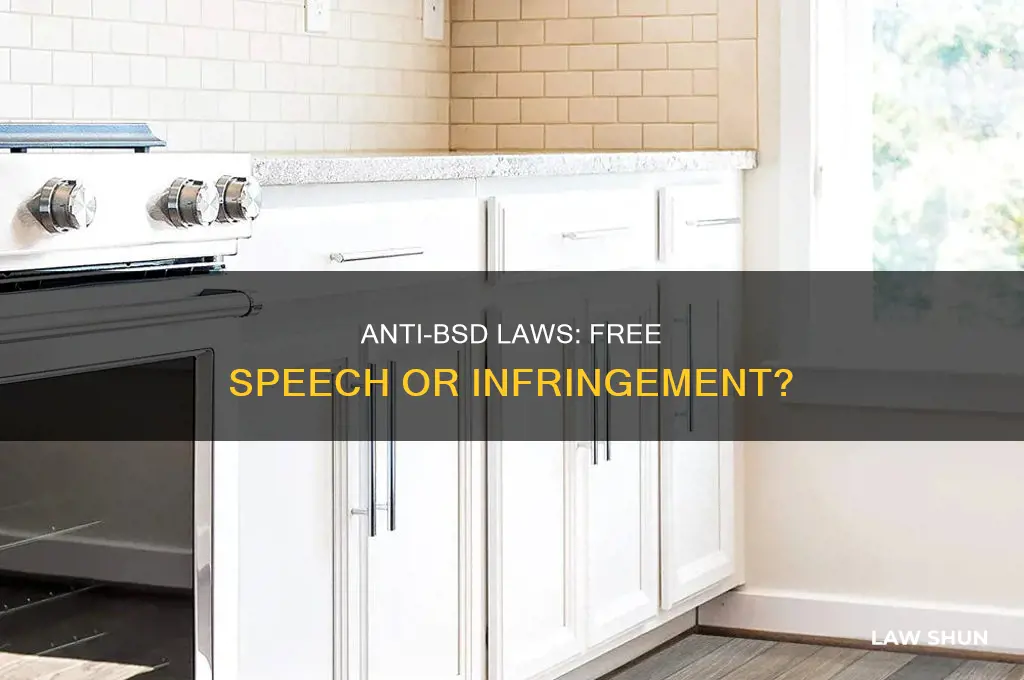 do anti bsd laws infringe on free speech