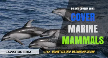 Anti-Cruelty Laws: Do They Protect Marine Mammals?