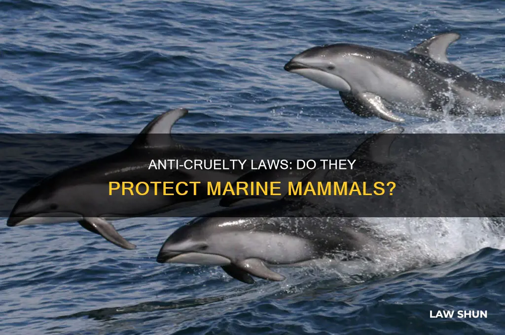 do anti cruelty laws cover marine mammals
