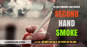 Anti-Smoking Laws: Effective Shield Against Secondhand Smoke?