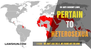 Anti-Sodomy Laws: Heterosexuals Affected Too?